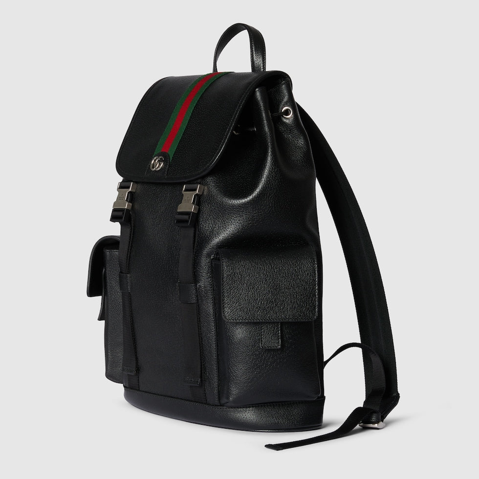 Ophidia large backpack.